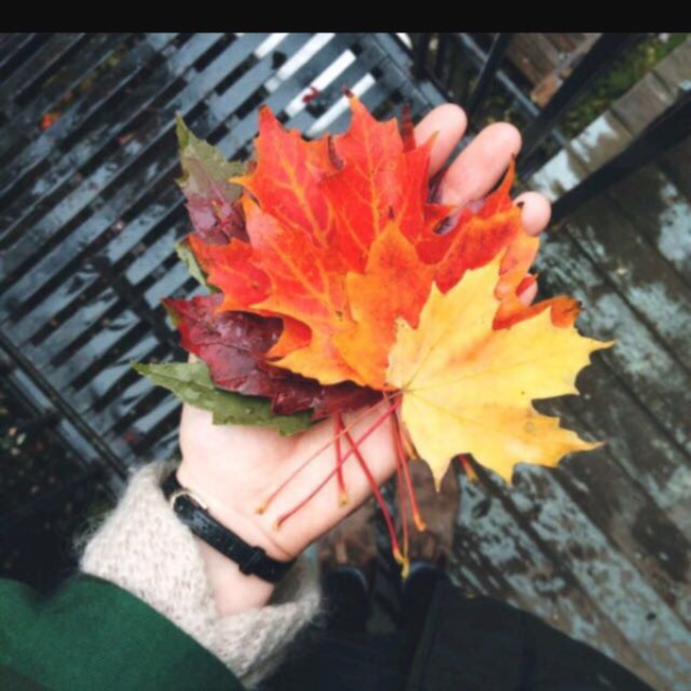 Meet your Posher, Lucky